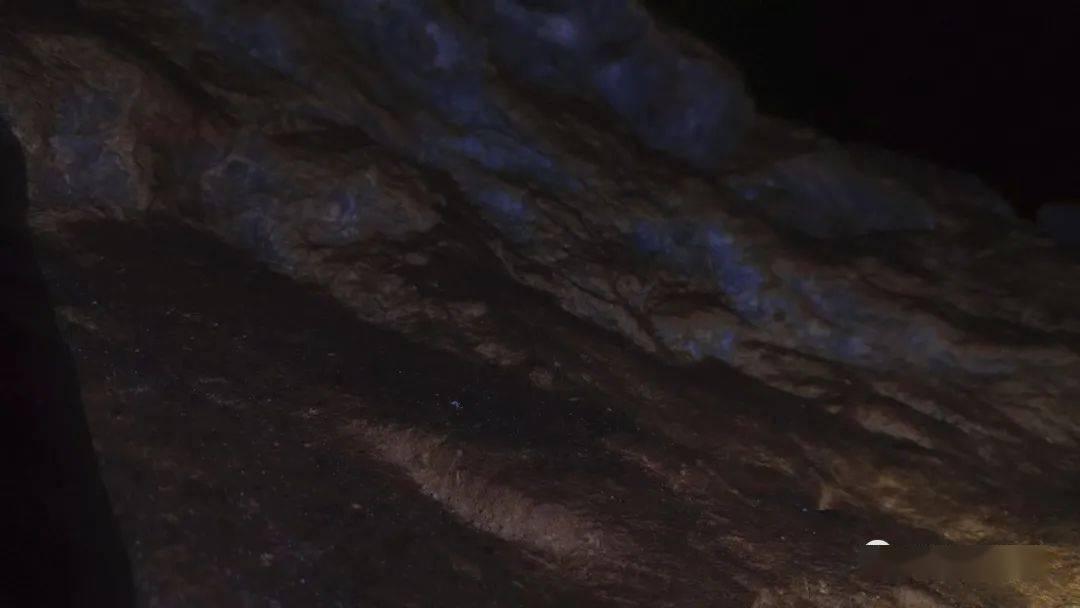 恐龙兄弟2怎么弄无限钱游戏画面